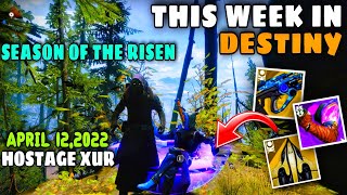 This Week In Destiny 12th April  Bugged Xur Vendor Reset God Roll amp Iron Banner [upl. by Itch944]