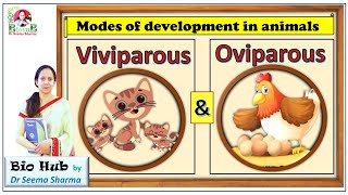 Viviparous Vs Oviparous Animals [upl. by Aldora153]