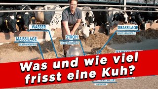 Milchkühe verstehen Verhalten erkennen und deuten [upl. by Plerre459]