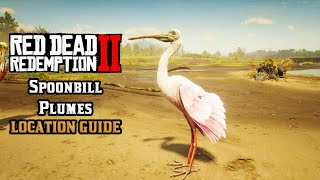 Spoonbill Plumes  Location Guide  Red Dead Redemption 2 [upl. by Gnous132]