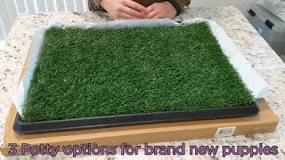 Unboxing PetMaker Artificial Grass Bathroom Mat for Puppies and potty options for new puppies [upl. by Neillij]