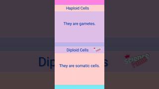 Haploid vs Diploid Cells [upl. by Trish]