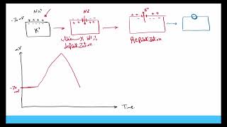 physiology revision  second year [upl. by Friede]