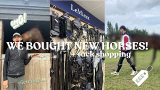 BUYING OUR NEW HORSES amp TACK SHOPPING TRIP [upl. by Murtagh]