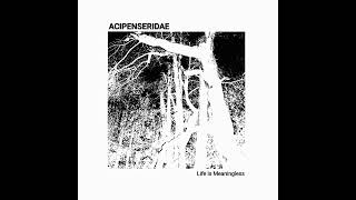 ACIPENSERIDAE  Life Is Meaningless Full Album 2024 Harsh NoiseExperimental [upl. by Ahseret]