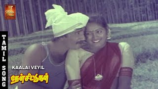 Kaalai Veyil Nerathile Video Song  Then Chittugal  Prakash  Subhashini  Video Park Music Video [upl. by Ahsem]