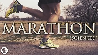 The Science of Marathon Running [upl. by Ihab]