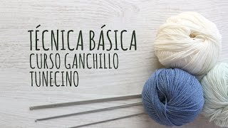 Curso Ganchillo Tunecino  Técnica Básica [upl. by Eiramrefinnej]