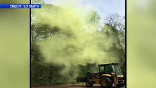 Pollen bomb after digger hits tree in Millville New Jersey [upl. by Ivory510]