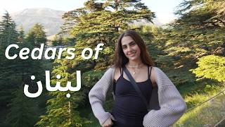 LEBANON VLOGꕤ a roadtrip to the cedars [upl. by Araid]