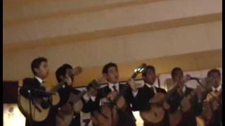 RONDALLA COBACH 01 [upl. by Pulling24]