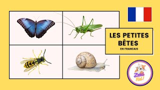 Les Insectes pour enfants  Apprendre les Noms et Bruits [upl. by Roxy]