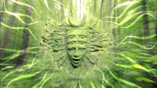 Shpongle  I Am You HD [upl. by Eskill964]