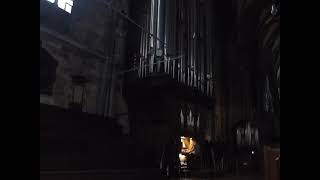 Davy Jones Theme  Vienna main cathedral organ [upl. by Ioj]