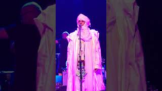 TINARIWEN from MALI in ATL [upl. by Dlorah]