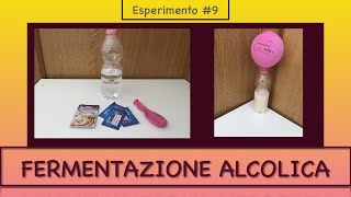 Gonfiare un palloncino con il lievito di birra  fermentazione alcolica  Esperimento 9 [upl. by Hteboj29]