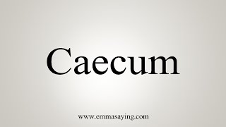 How To Say Caecum [upl. by Anirtal]