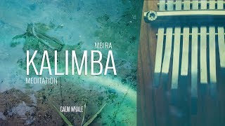 Beautiful Kalimba Meditation 3 HOURS remastered Calm Whale [upl. by Zink]