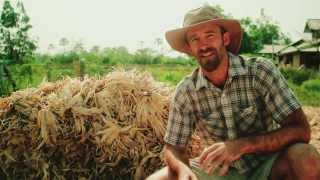 Seeds of Permaculture  Tropical Permaculture [upl. by Wiltshire721]