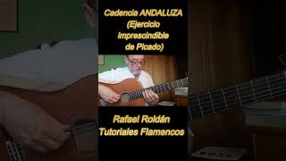 Cadencia ANDALUZA Ejercicio imprescindible de Picado rafaelroldán [upl. by Nesahc967]