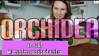 10 LETNIE ORCHIDEE🌸mój sposób [upl. by Aw]