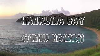 Hanauma Bay Snokeling Tips  Fish  Sea Turtles [upl. by Rinaldo]