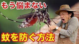 【夏の蚊対策】効率かつ効果的な防ぎ方がわかります 【カーメン君】【園芸】【ガーデニング】【初心者】 [upl. by Gosselin]