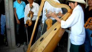 LOS MARINEROS DE TEPALCATEC EN COALCOMAN MICHOACAN [upl. by Allertse869]