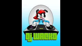 Animaniacs Music Remix  Wakkos America  Chiru6 Remix [upl. by Ailed]