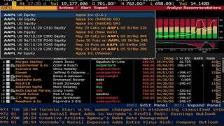 Bloomberg Terminal Part 1  Quick Introduction to Basic Functions [upl. by Darsey]