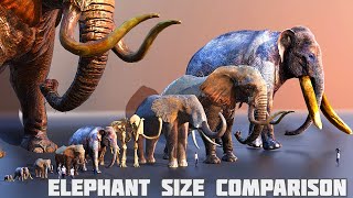 Elephants size comparison  mammoth size comparison 😱 [upl. by Crysta730]