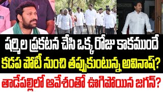 కడప పోటీ నుంచి తప్పుకున్న అవినాష్ రెడ్డి  తాడేపల్లిలో ఆవేశంతో ఊగిపోయిన జగన్  I YS Avinash Reddy [upl. by Adnomal674]