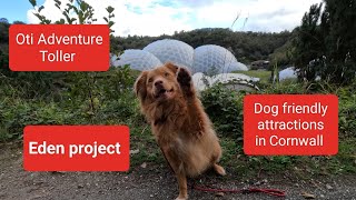 How dog friendly is the Eden project botanical gardens in Cornwall UK [upl. by Irma717]