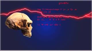 Homo Heidelbergensis [upl. by Neelhtac]