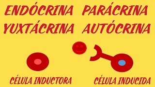 🧬TIPOS DE INDUCCIÓN CELULAR🧬  ¡¡ENTENDELAS FÁCIL Y RÁPIDO [upl. by Neillij149]