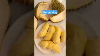 Durian Dog dog durian highlights [upl. by Novoj935]