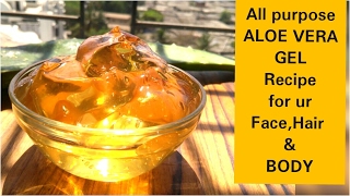 अपने घर पर ही ALOE VERA GEL जेल तैयार कीजिए Aloe Vera All Purpose GelAloe Vera Gel Dr Shalini [upl. by Lillie]