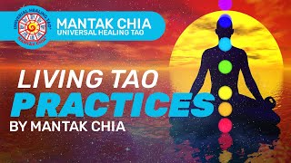 Living Tao Practices by Mantak Chia [upl. by Einittirb]