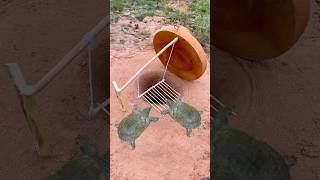 Survival SkillsSimple But Very Useful with turtle deep hole trap survival shorts outdoor [upl. by Ancell]