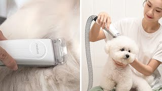 5 Things to Know About the Neabot P1 Pro Pet Grooming Kit [upl. by Anomor]