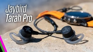 Jaybird Tarah Pro Premium Sport Headphones Review vs X4 [upl. by Hedvig]