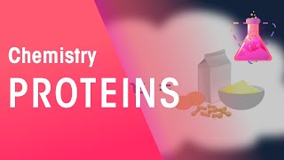 Proteins  Organic Chemistry  Chemistry  FuseSchool [upl. by Arahsal422]