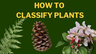 Learn Plant Classification  The Plant Kingdom [upl. by Hamlen]