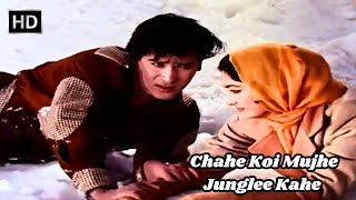 Chahe Koi Mujhe Junglee Kahe  चाहे कोई मुझे जंगली कहे  Junglee 1961  Shammi Kapoor Saira Banu [upl. by Oneill]