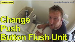 HOW TO CHANGE A PUSH BUTTON FLUSH UNIT  Plumbing Tips [upl. by Modeste]