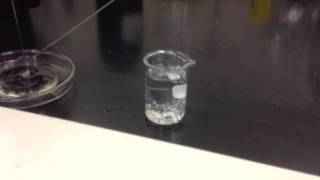 Water Miscibility Test and Solidification  Part 1 [upl. by Mushro]