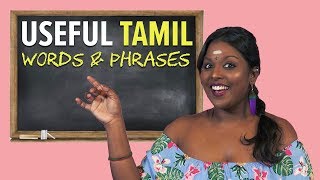 Basic Tamil Words amp Phrases You Should Know By Now  NANDINI SAYS [upl. by Eckart]