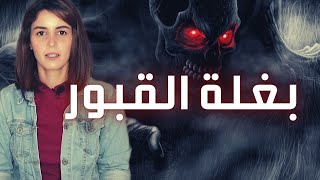 الأسطورة الأمازيغية بغلة القبور  قصص حقيقية [upl. by Der650]