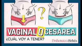 PARTO VAGINAL o CESÁREA 👩🏻‍⚕️🏥 ¿Cómo saber cuál tendré [upl. by Joktan899]