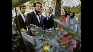 Sergio Mendes Brasil 66  For What Its Worth [upl. by Yajiv]